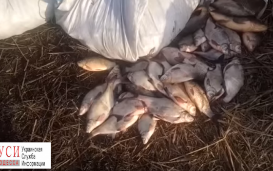 Пограничники задержали на Днестре браконьеров с сетями и большим уловом «фото»