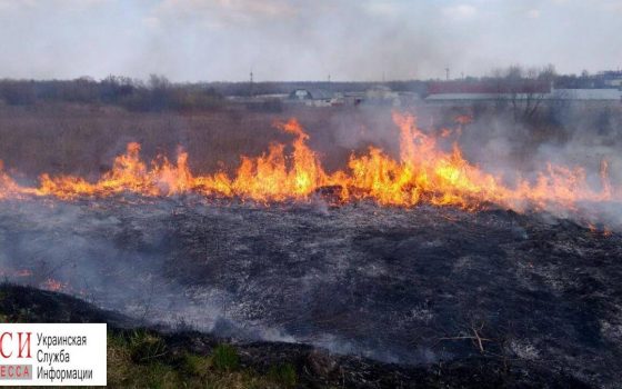 Чрезвычайная пожарная опасность: в Одесской области объявили штормовое предупреждение «фото»