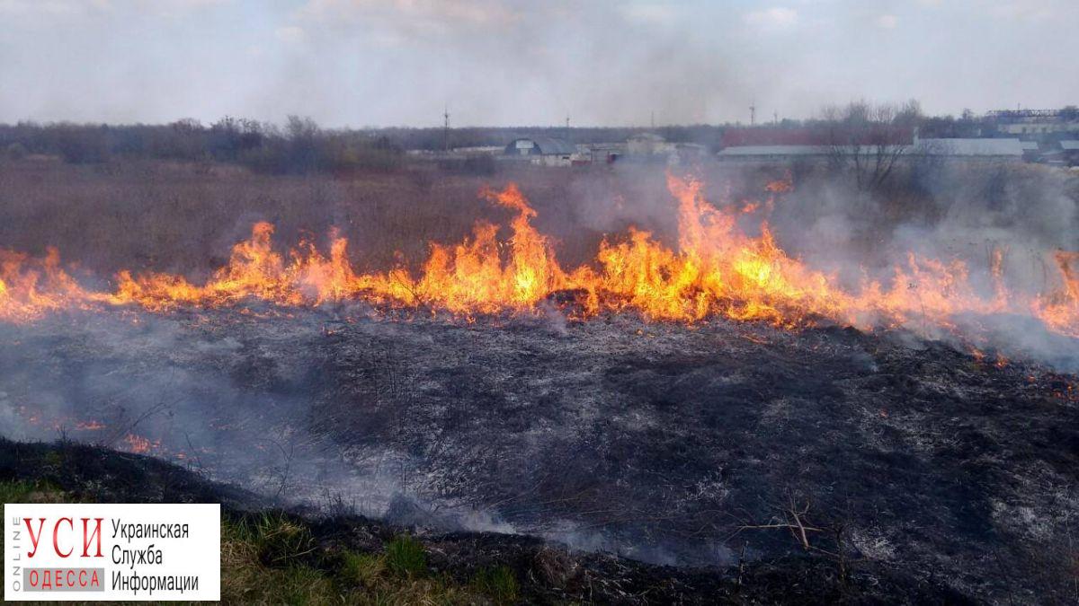 Чрезвычайная пожарная опасность: в Одесской области объявили штормовое предупреждение «фото»