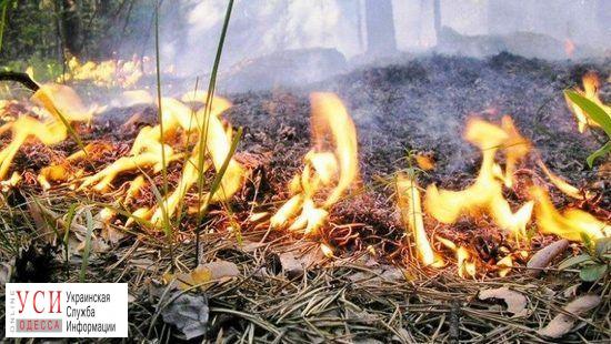 В Одесской области объявили чрезвычайный уровень пожарной опасности «фото»