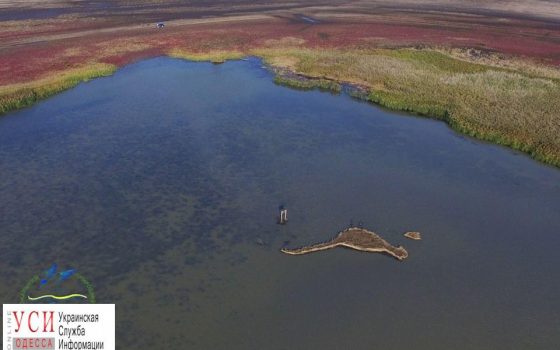 Волонтеры Всемирного фонда дикой природы построят остров для птиц в Одесской области «фото»