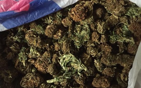 В Одессе задержали наркоторговцев (фото) «фото»