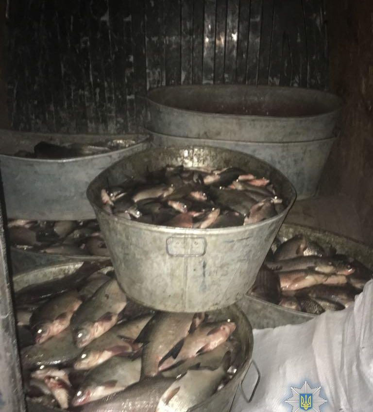 Под Измаилом задержали браконьера с грузом рыбы и раков (фото) «фото»