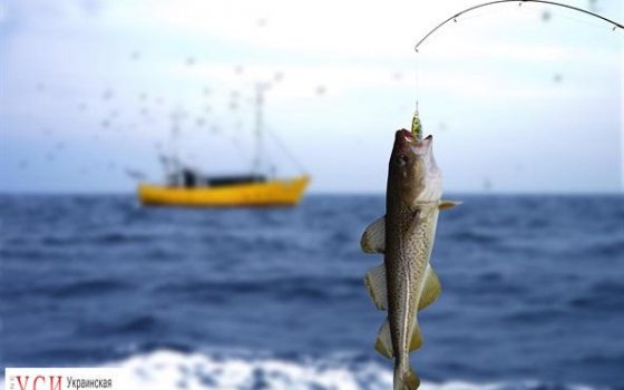 В начале мая в Одесской области введут ограничения на морскую рыбалку «фото»