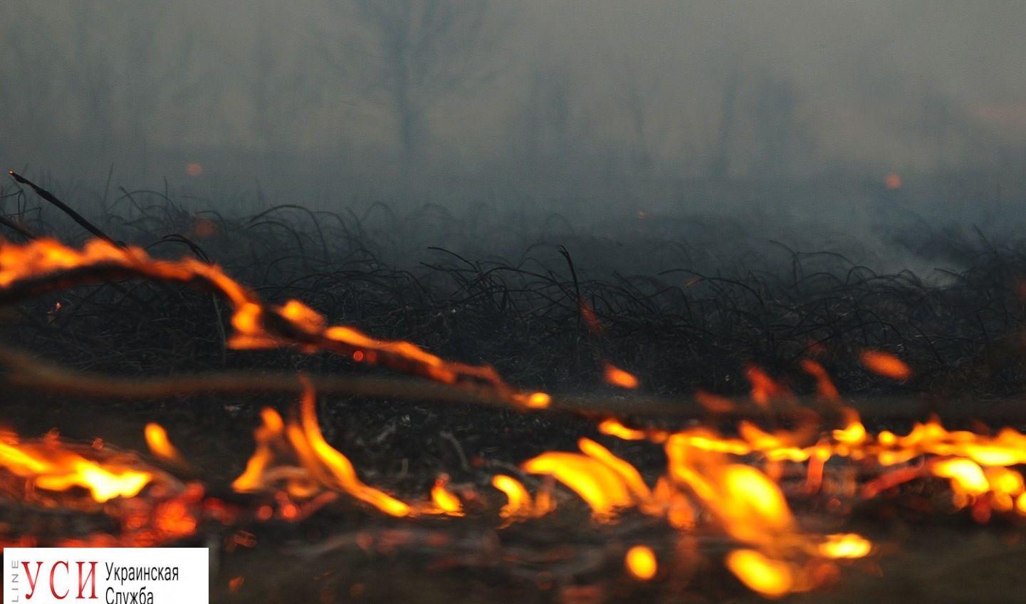 В Одесской области высокий уровень пожарной опасности, — ГСЧС «фото»