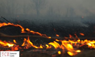 В Одесской области высокий уровень пожарной опасности, — ГСЧС «фото»