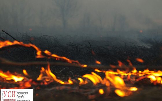 В Одесской области высокий уровень пожарной опасности, — ГСЧС «фото»