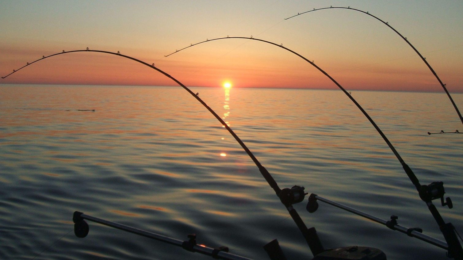 В реках и озерах Одесской области ввели ограничения на рыбалку на время нереста «фото»