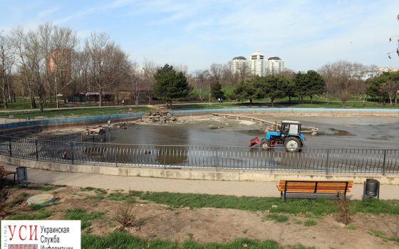 В Парке Победы осушили пруд (фотофакт) «фото»