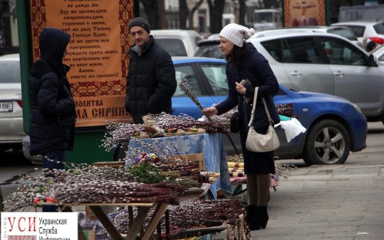 Вербное воскресенье в Одессе: город наполнили пушистые букеты (фото) «фото»