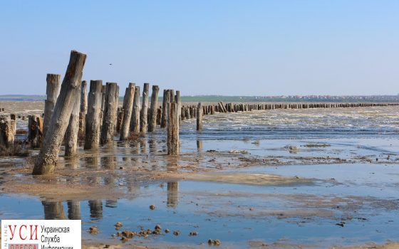 Весна на Куяльнике: как просыпается одесский лиман (фоторепортаж) «фото»