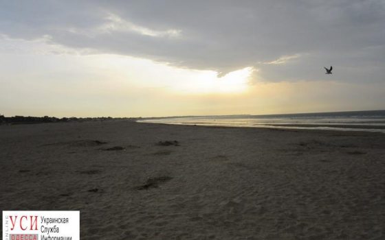 На пляже в Черноморске нашли мертвую женщину: ее искали месяц «фото»