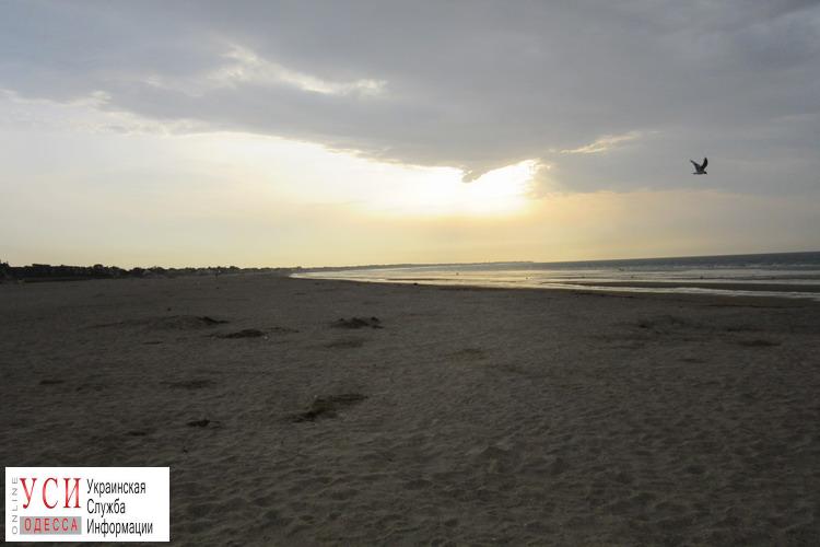 На пляже в Черноморске нашли мертвую женщину: ее искали месяц «фото»