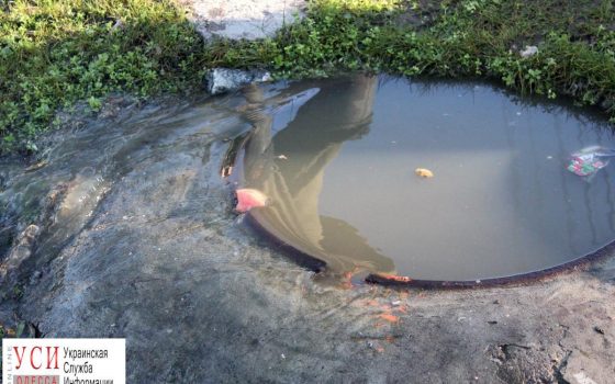 В Ленпоселке на проезжую часть стекают канализационные отходы: жители жалуются на вонь «фото»