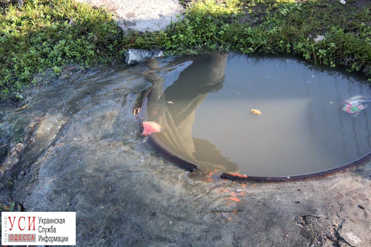 В Ленпоселке на проезжую часть стекают канализационные отходы: жители жалуются на вонь «фото»