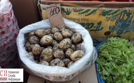 В Одессе появилась первая молодая картошка: цена шокирует «фото»