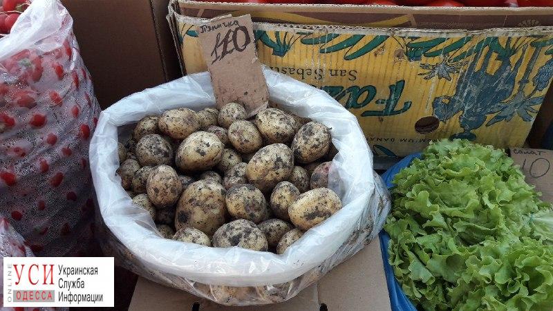 В Одессе появилась первая молодая картошка: цена шокирует «фото»