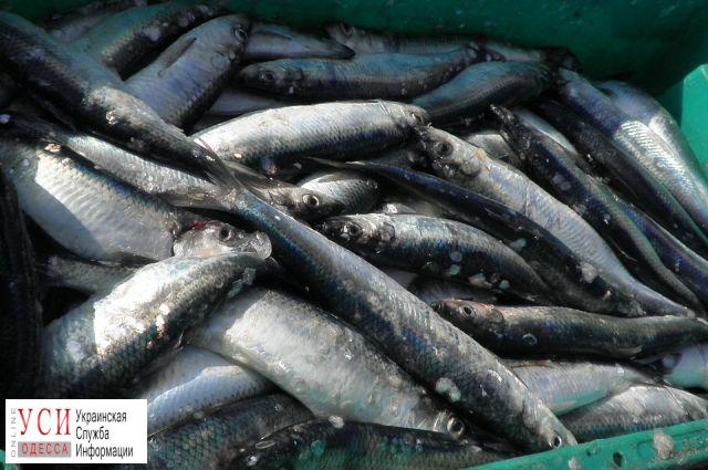 В Вилково задержали браконьера, который выловил рыбу на 32 тысячи «фото»