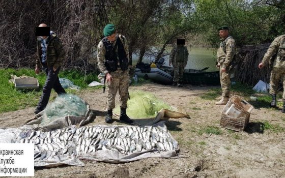 Двое браконьеров наловили рыбы на 28 тысяч гривен (фото) «фото»