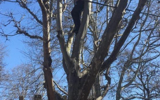 Одесские патрульные спасли повисшего в петле самоубийцу «фото»