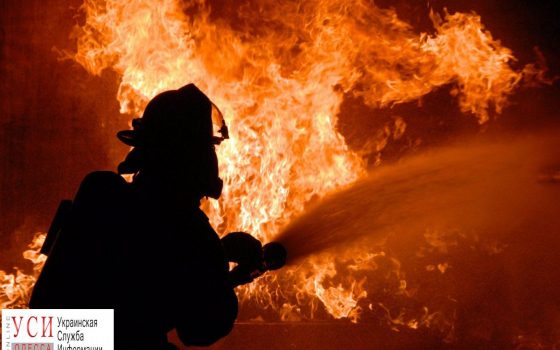 За сутки в Одесской области произошло 10 пожаров в экосистемах «фото»