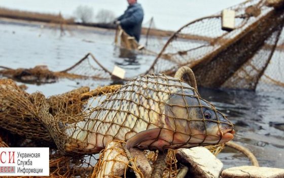 Измаильские полицейские поймали браконьера на тракторе с бочкой выловленной рыбы (фото) «фото»