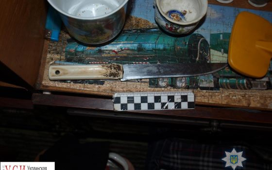 Женщина убила свою старую подругу на почве ревности (фото) «фото»