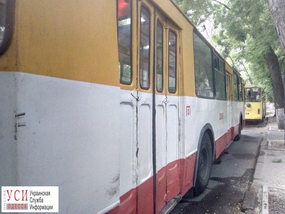 На Адмиральском проспекте остановились троллейбусы из-за упавшего дерева «фото»