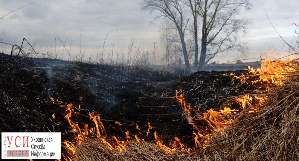 За день в Одесской области сгорело 6,5 гектаров сухой травы «фото»