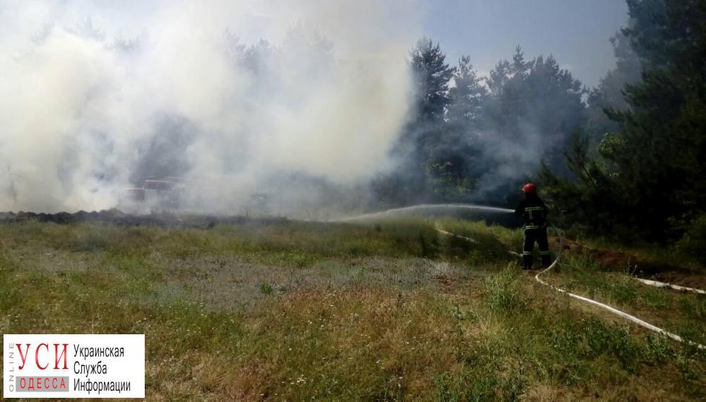 В лесах на севере Одесской области прошли масштабные учения по тушению пожара (фото) «фото»