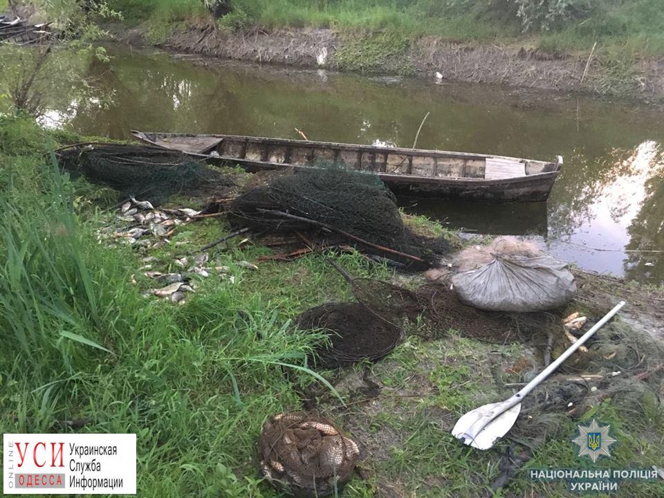 Полицейские обнаружили в Одесской области следы браконьеров (фото) «фото»