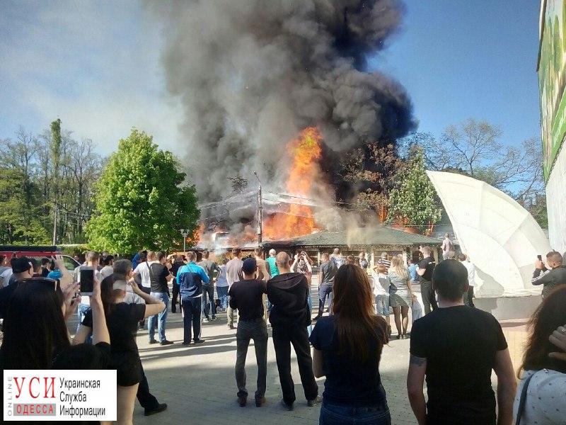 В парке Горького загорелся ресторан (фото, видео) «фото»