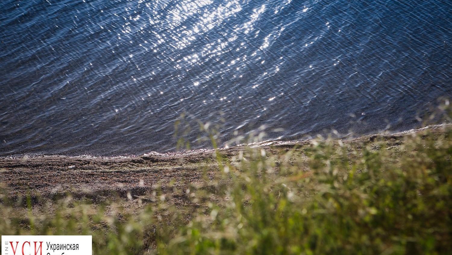 Буйство зелени и шепот волн: “Тузловские лиманы” (фоторепортаж) «фото»