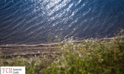 Буйство зелени и шепот волн: “Тузловские лиманы” (фоторепортаж) usionline.com Буйство зелени и шепот волн: “Тузловские лиманы” (фоторепортаж) «фото»