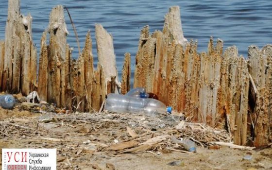 За чистую среду: Одесская область присоединилась к всеукраинской акции (фото) «фото»