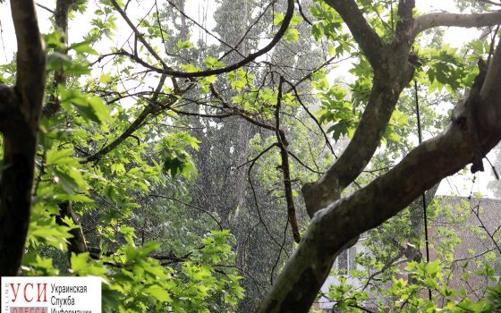 В Одессе прошел дождь с градом (фото) «фото»