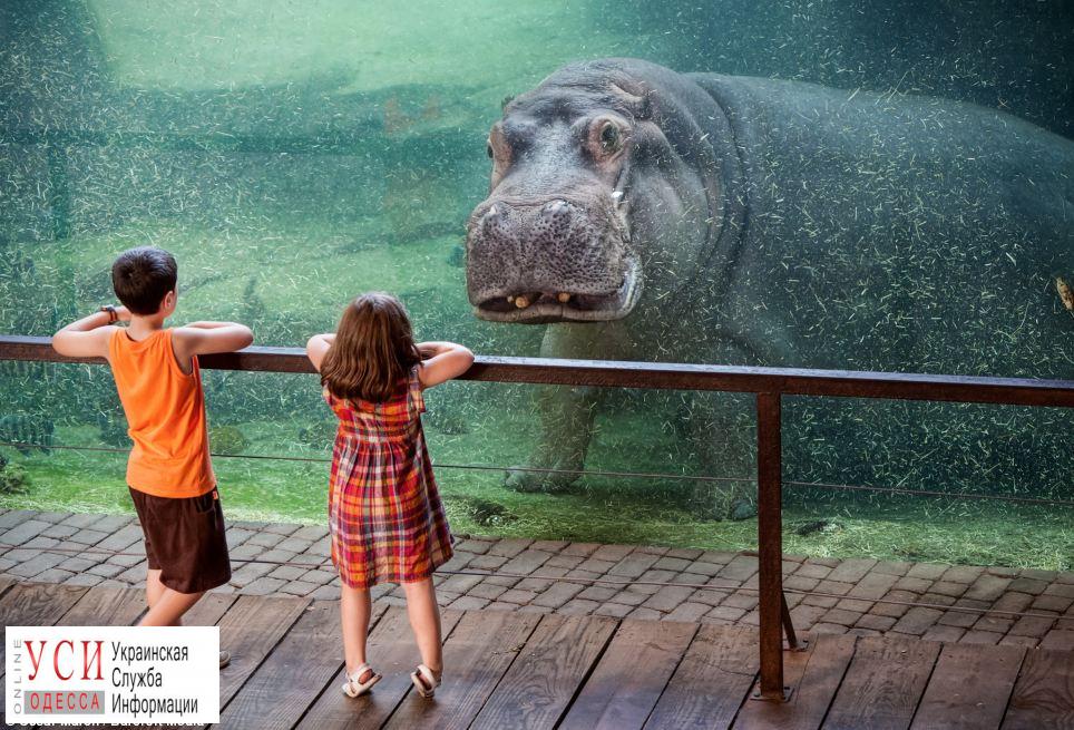 Одесский зоопарк устраивает бесплатный праздник для детей «фото»