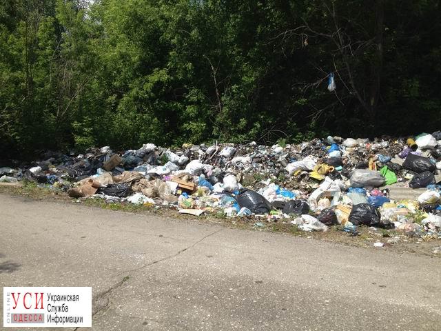 В Одесской области обнаружили 15 мусорных свалок: часть под Одессой «фото»