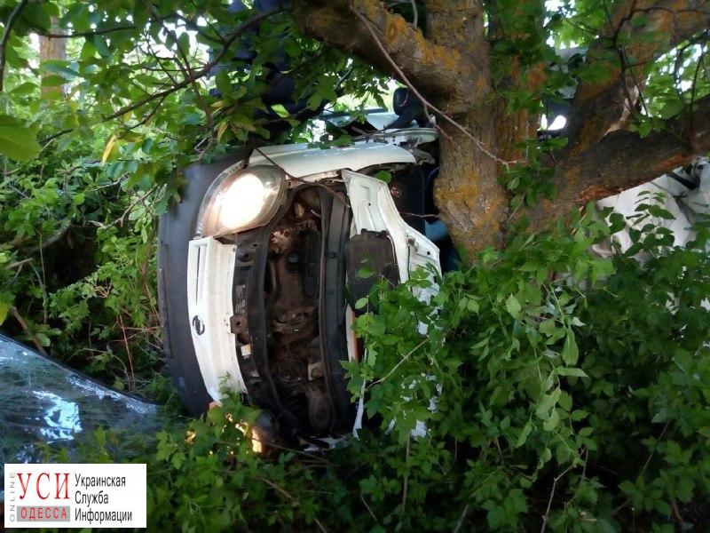На трассе Одесса-Николаев машина врезалась в дерево: 5 погибших (фото) «фото»