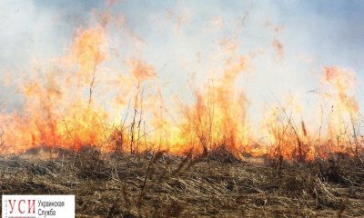В Одесской области неделю продержится чрезвычайная пожароопасность «фото»