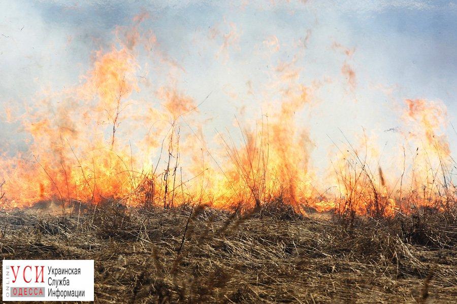 В Одесской области неделю продержится чрезвычайная пожароопасность «фото»