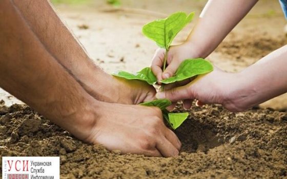 Завтра на Ольгиевской полдня будет перекрыто движение «фото»