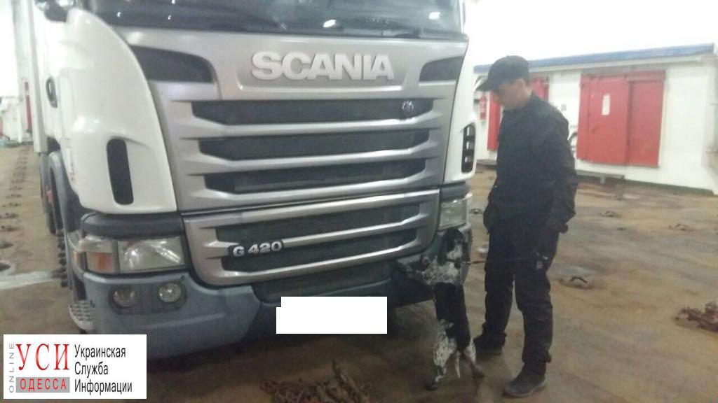В порту Одесской области остановили угнанный в Турции автомобиль «фото»