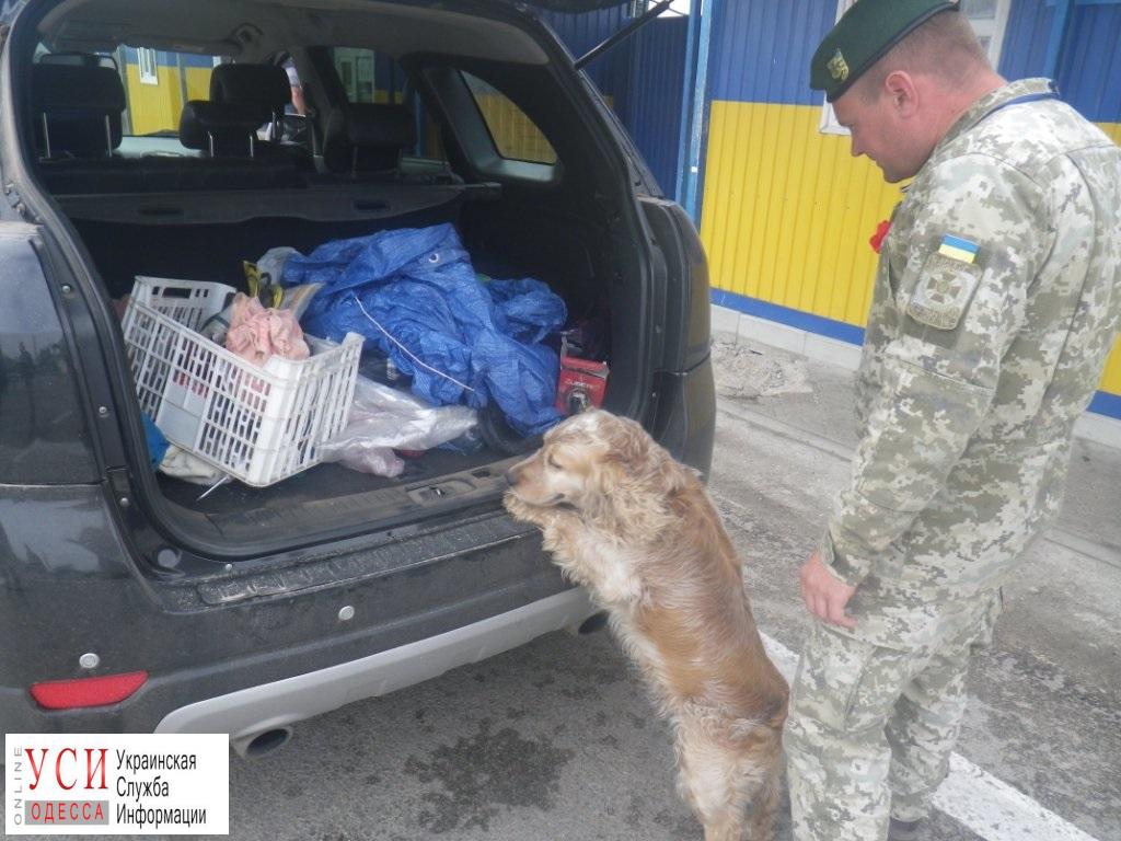 Одессит пытался вывезти в Крым боеприпасы: их обнаружил на границе служебный пес (фото) «фото»