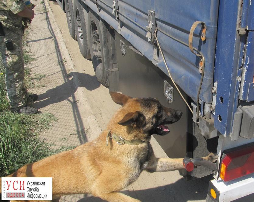 Служебная собака помогла измаильским пограничникам обнаружить контрабанду (фото) «фото»