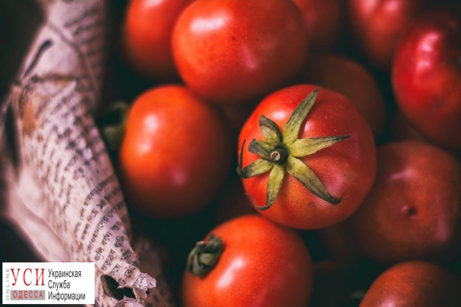 В Одесскую область завезли зараженные помидоры: вредитель способен уничтожить до 100% урожая «фото»