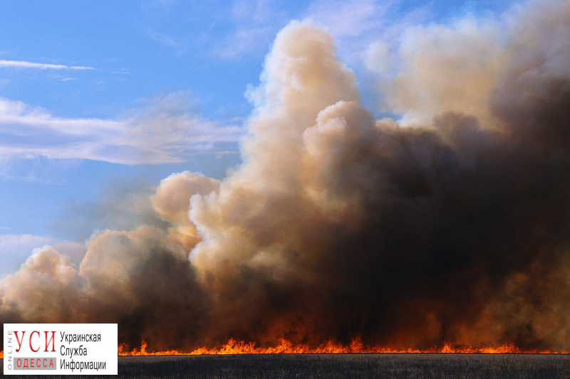 Из-за аномальной жары в Одесской области выгорело 10 гектаров земли «фото»