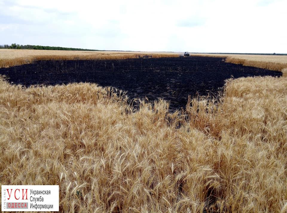 Неизвестные сожгли поле с урожаем в Беляевском районе (фото) «фото»