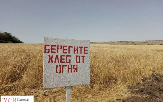 Одесская область может потерять половину урожая из-за засухи usionline.com Одесская область может потерять половину урожая из-за засухи «фото»