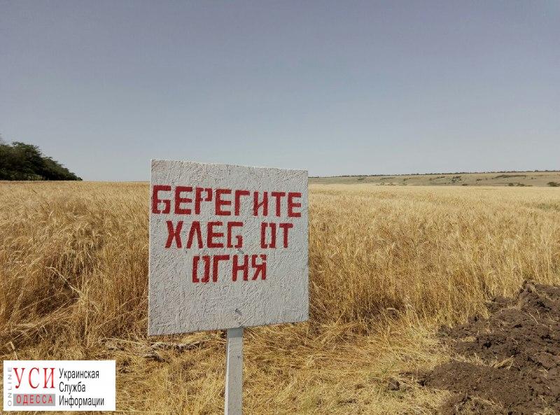 Одесская область может потерять половину урожая из-за засухи «фото»